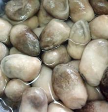 Canned straw mushroom