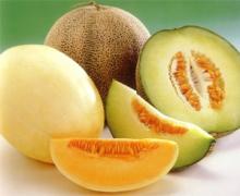  honeydew   melon 