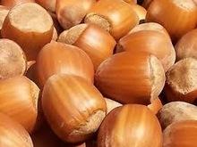 Organic Hazelnut/ Hazelnut