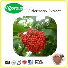 pure natural 25%Anthocyanidin Elderberry Extract