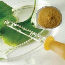 Ginkgo Biloba Extract Powder
