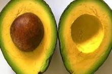 AVOCADOS