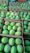 Fresh mango