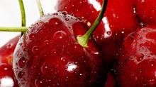 Fresh Brazilian Cherries with good prices