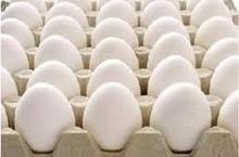 Farm fresh chicken table eggs