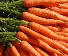 2015 Fresh Carrot in Brazil For Exporting Sale