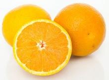 Brazilian fresh Citrus fruit