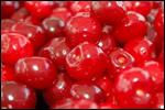 Fresh Cherries