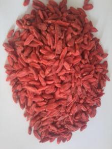 Dried Wolfberry 2019 New Crops