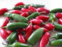  Jalapeno  Chillies