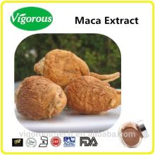 natural 10:1  maca   root   extract   powder 