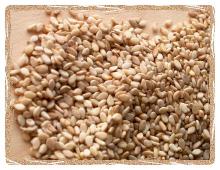 Organic  Sesame   Seeds 