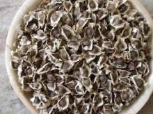 Moringa seeds and oil