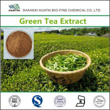 Green Tea Extract Powder for Weight Loss