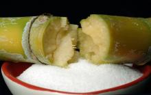 Sugar cane