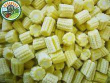 Hi-quality IQF Baby corn cut for sales from Vietnam
