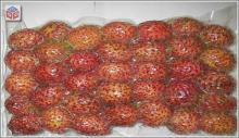 High Quality Fresh Rambutan