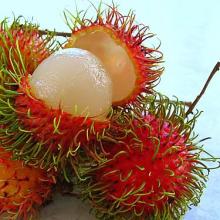 Fresh Rambutan