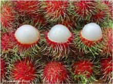 SUPPLY Fresh Rambutan Fruit from Vietnam with Best Price and High Quality