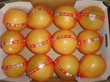 Fresh Pinghe Guanxi honey pomelo for European market