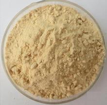 Organic pumpkin powder