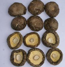 Dried mushroom,Shiitake