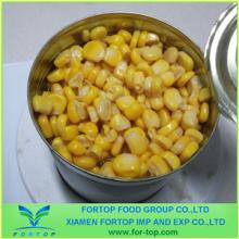New Crop Canned Sweet Corn In Brine