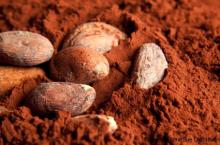  Cocoa  seed,  Cocoa  Powder, Alkalized  Cocoa  powder