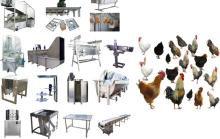 3000pcs/h  automatic   poultry  slaughtering machines
