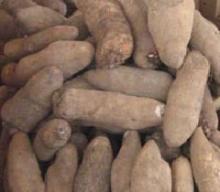 Yam QUANTITY