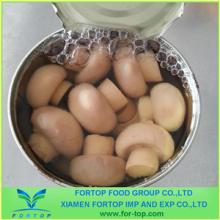 Canned Whole Mushroom in Tin/Drum
