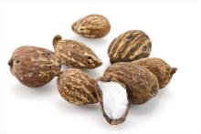 hazelnuts Nuts