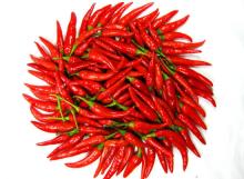 frozen chilli - stem or without stem