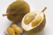 frozen durian - whole or sliced