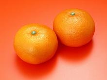 Fresh Oranges BRAZIL Origin