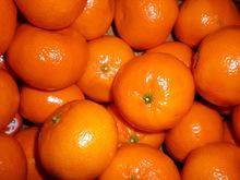 Fresh Valencia  Orange  /Fresh  Mandarin   Orange  /Fresh  Navel   Orange 