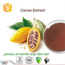  Cocoa   Seed   Extract 