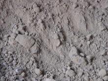 Bleaching Earth