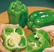 Fresh Green Pepper