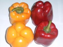 Fresh Color Pepper