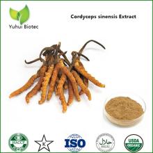 cordyceps extract,cordyceps sinensis extract,cordyceps extract powder