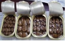  canned   oyster s