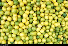 Fresh Green Lemon Seedless