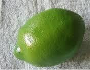 FRESH UNRIPE LIMES