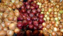Fresh Red Onions / Yellow Onion