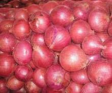 Fresh Red Pickle Onion