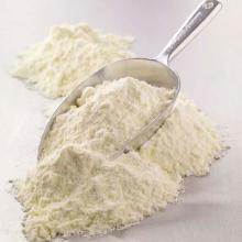 powder milk, powder jelly, powder whipped  cream , powder gelatine