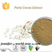 Pure natural herb extract balancing blood sugar poria cocos extract