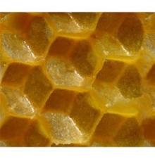 Top sale beeswax comb foundation from Turkey