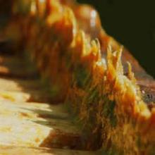 Propolis raw propolis propolis extract refined propolis liquid propolis propolis powder propolis cap